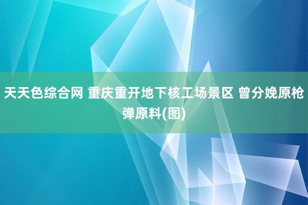 天天色综合网 重庆重开地下核工场景区 曾分娩原枪弹原料(图)